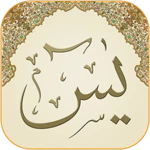 Logo of Surah Yasin (Qari Sudais) android Application 